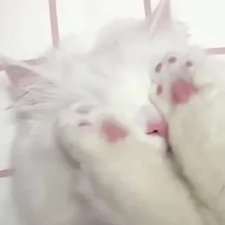 🥺