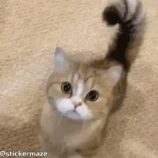🤗