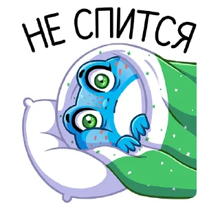 💤