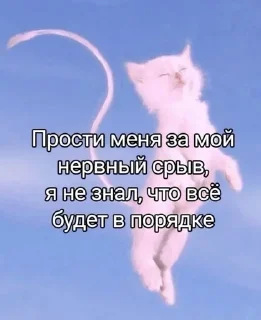 😇