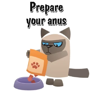 🐱