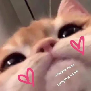 😴