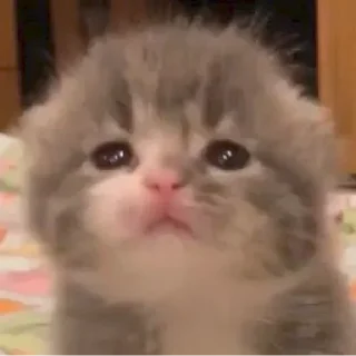 😕