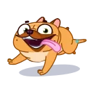 🏃
