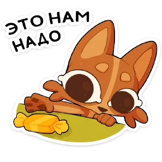 🌟