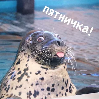 🥳