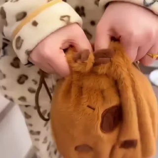 🐈‍⬛️
