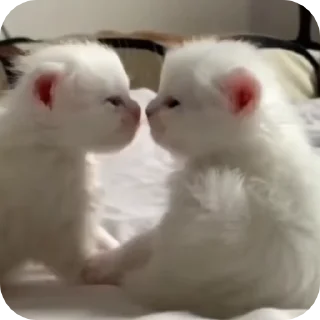😙