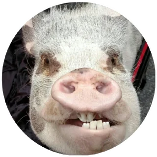 😁