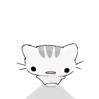 🐱