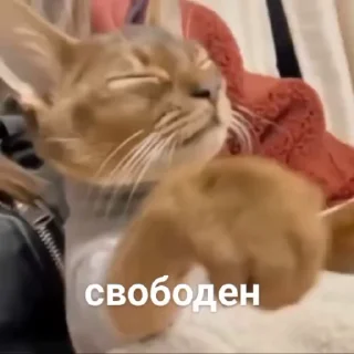 😮‍💨