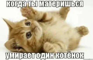 🤍