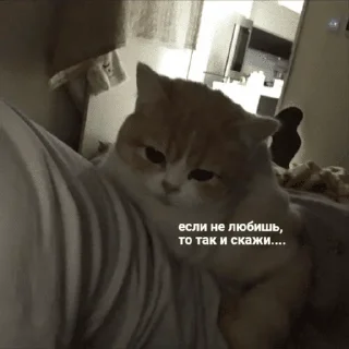 😢