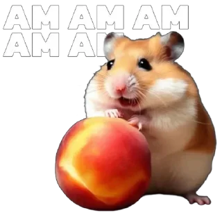 🐹