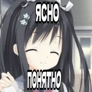 🤍