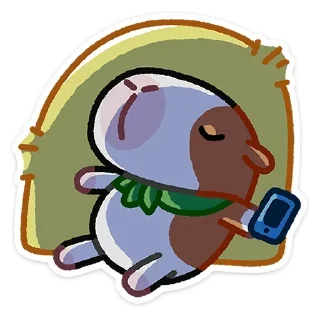 😴