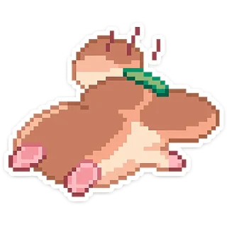 🐹