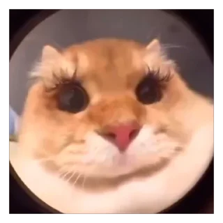 🥰