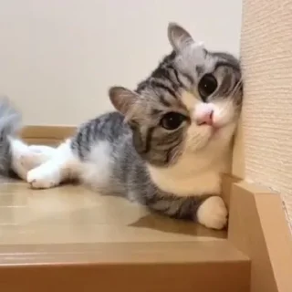 ☺️
