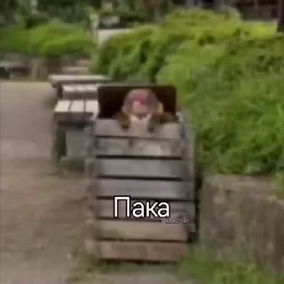 👋