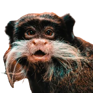 😁
