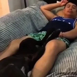 🐩