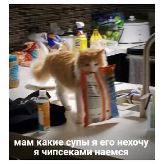 ❌