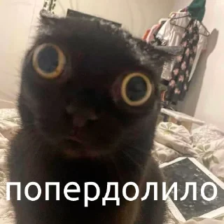 🤯