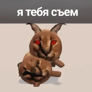 📦