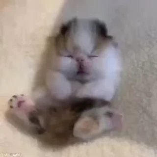 🥱