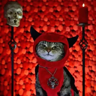 👹