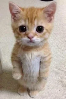 😢