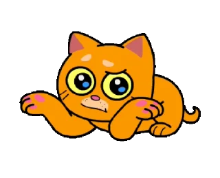 🙈
