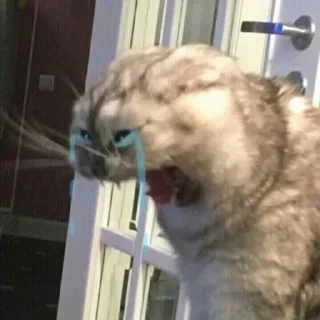 😭