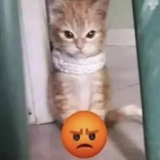 😡