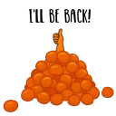 🍊