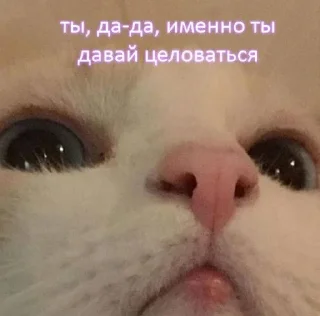 💋