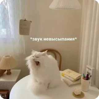 🥱