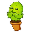 Cactus