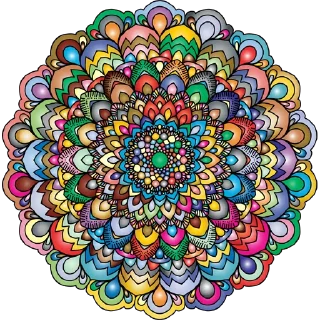 🎨