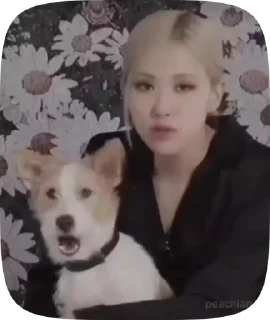 🤍