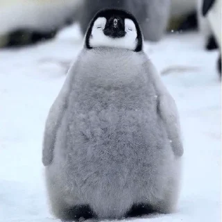 😊