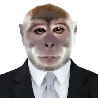 👨‍⚖️