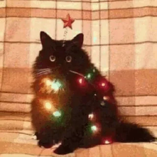 🎄