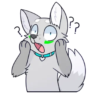 🙀
