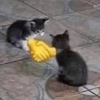 🤝