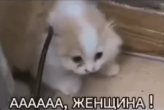 👩