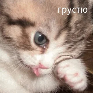 😞