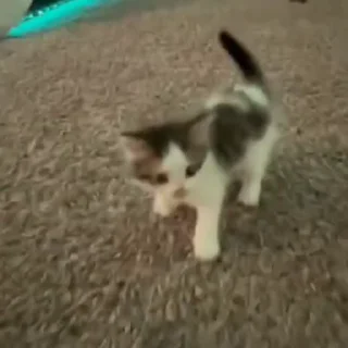 🤪