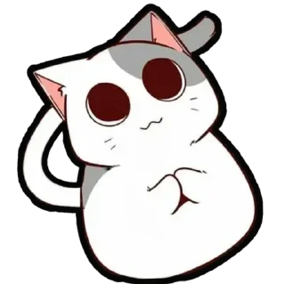 🐈